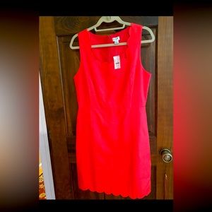 Beautiful JCREW dress size 10 new with tag. Classy scalloped details.